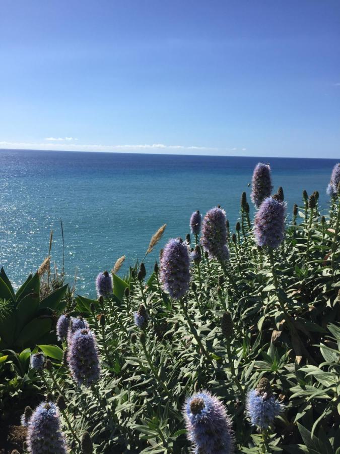 Calheta Ocean View Family Apartment - Air Condition Estreito Da Calheta Extérieur photo